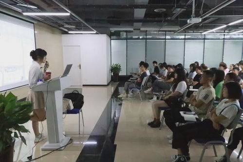 内江软件与信息技术服务外包产业园首届服务外包行业交流分享会 聚焦技术服务，共绘发展新蓝图